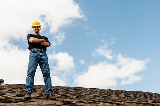 Roof Gutter Cleaning